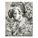 Dog PhotoPrint photography