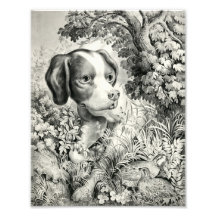 Dog PhotoPrint