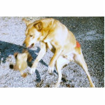 dog playing cut outs