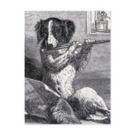 "Dog Playing the Flute" Vintage Illustration Postcards