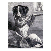 "Dog Playing the Flute" Vintage Illustration Postcards