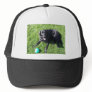Dog playing with ball - happy Best Friends Mesh Hat