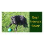 Dog playing with ball - happy Best Friends Picture Card