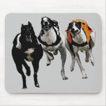 DOG RACE GREYHOUND mousepads