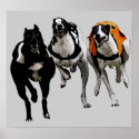 DOG RACE GREYHOUND posters