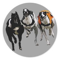 DOG RACE GREYHOUND STICKER