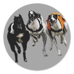 DOG RACE GREYHOUND stickers