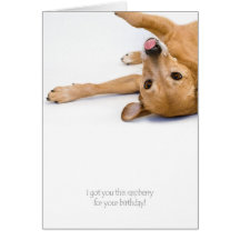 Dog Rasberry Card