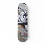 Dog Resting In Back Yard skateboards