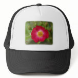 Dog Rose 9Y045D-004 hats