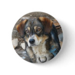 Dog round button