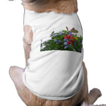 dog shirt pet martial arts