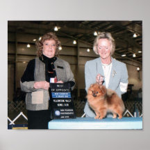 Dog Show 001 Poster