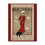 Dog Show Postcard