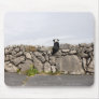 Dog sitting on a traditional Irish stone wall on Mouse Pad