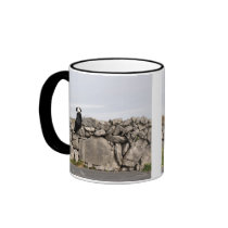 Dog sitting on a traditional Irish stone wall on Mugs
