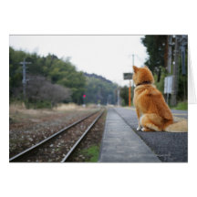 Dog sitting on train station card