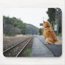 Dog sitting on train station mouse pads