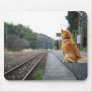 Dog sitting on train station mouse pads