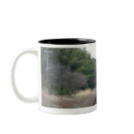 Dog sitting on train station mugs