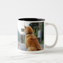 Dog sitting on train station mugs