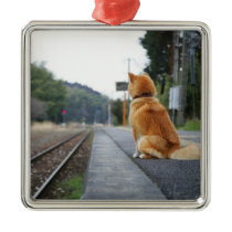 Dog sitting on train station christmas ornaments