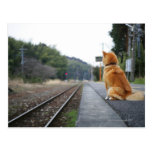 Dog sitting on train station post cards
