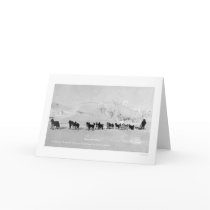 Dog Sled Champions Alaska 1910 Greeting Card