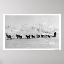 Dog Sled Champions Alaska 1910 Posters