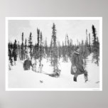 Dog Sled Men Fairbanks 1920 posters