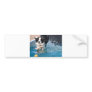 dog splashing in water skateboard bumper sticker