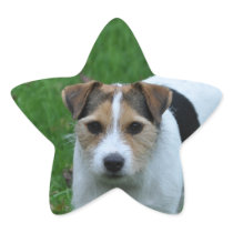 Dog Star Star Sticker
