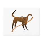 Dog & Stick postcards