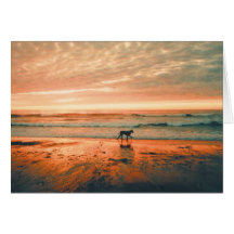 Dog Sympathy-Heidi Greeting Cards