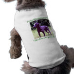 Dog T Colour pet clothing