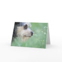 Dog takes time to enjoy life and smell the flowers cards