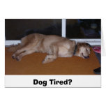 Dog tired? cards