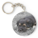 Dog Tired, customisable