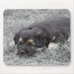 Dog Tired, customizable Mouse Pad