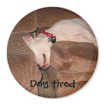 Dog tired magnet