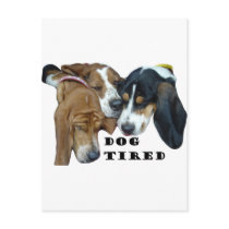 Dog Tired Post Card