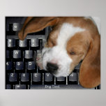 Dog Tired Posters