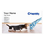 Dog Trainer business card template