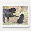 Dog Training-Customizable mousepads