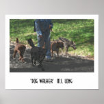 Dog Walker posters