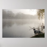 Dog Watches a Swan Print