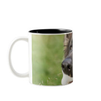 Dog with bone coffee mugs