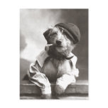 Dog With Pipe and Hat postcards