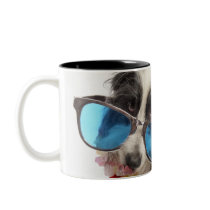 Dog with sunglasses and parfait coffee mugs