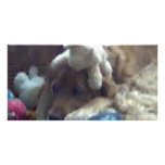 dog with teddys picture card